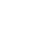 Zirconia Crowns